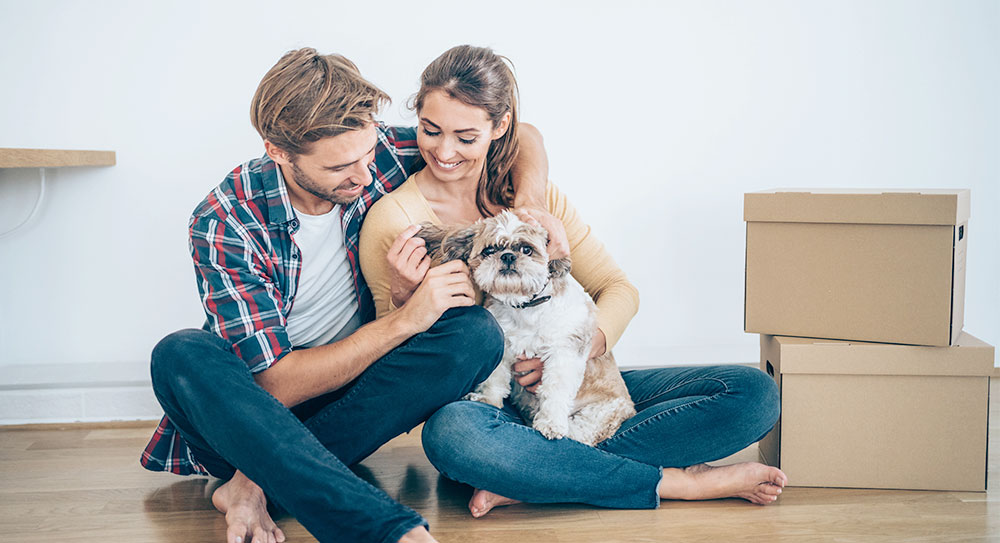 Contact us to purchase your first home